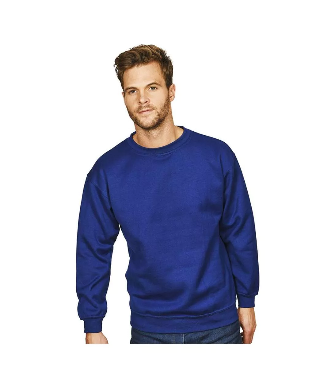 Absolute Apparel Mens Sterling Sweat (Royal) - UTAB113