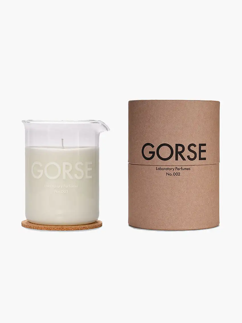 Gorse Candle