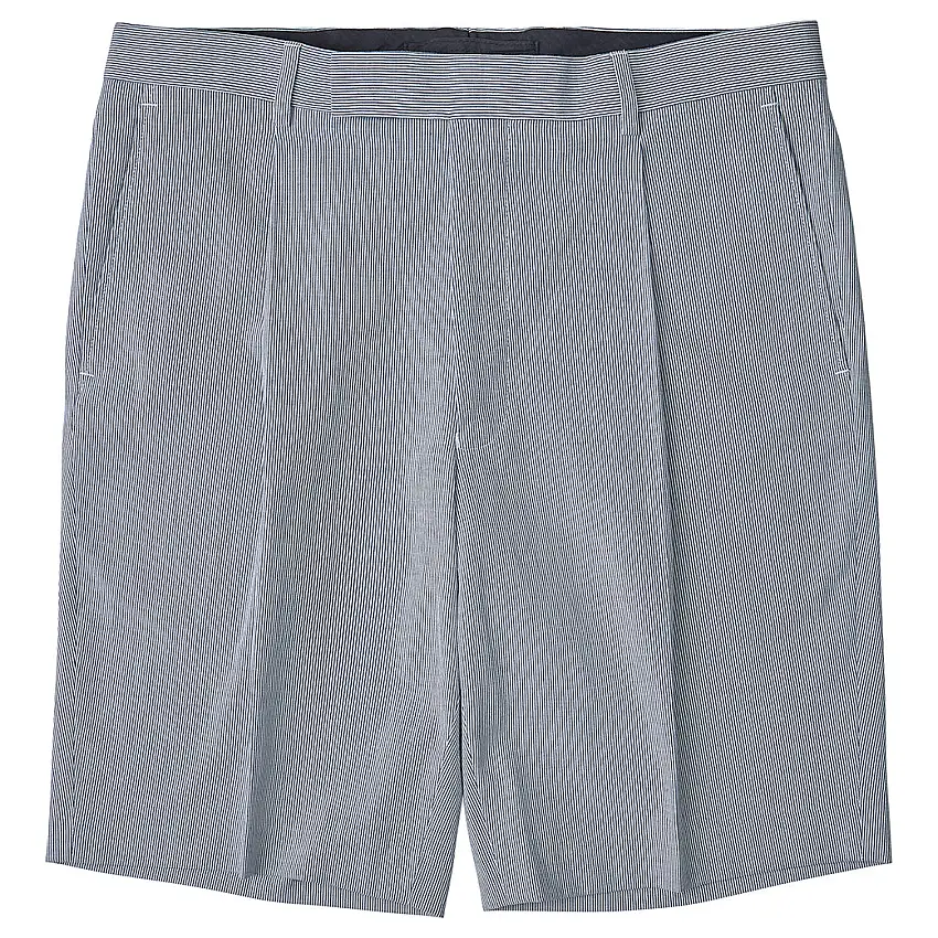 Tully White and Blue Fine Stripe Shorts