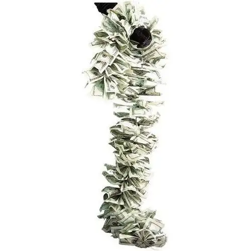 Bristol Novelty Money Boa