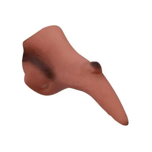 Fiestas Guirca Womens/Ladies Latex Witch Fake Nose